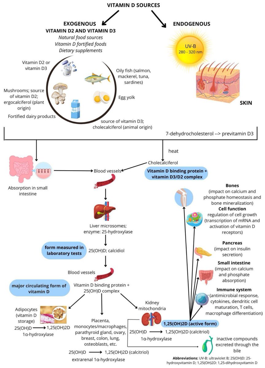 Vitamin D functions and sources

<a href="/Nutrients_MDPI/">Nutrients MDPI</a> #nutrition #nutrients #vitaminD