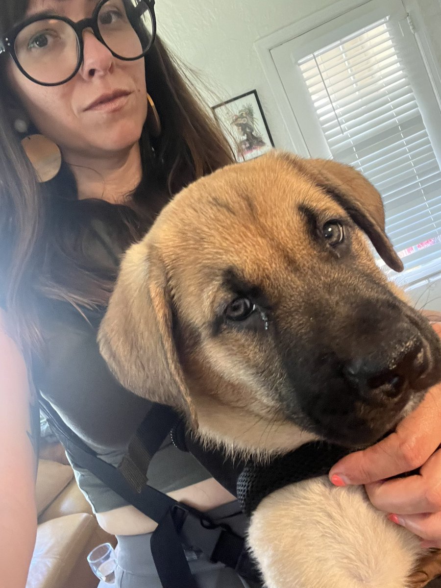 Caitlin McGlade tweet media