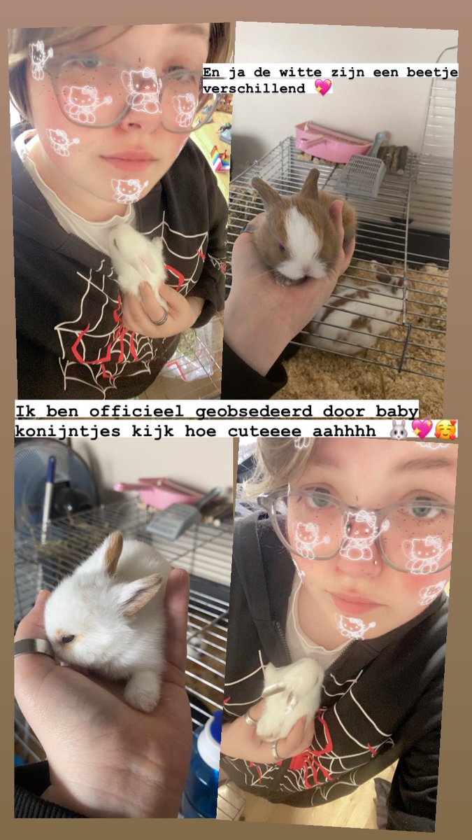 I’m obsessed look at them aaahhh 🐰💖🥰