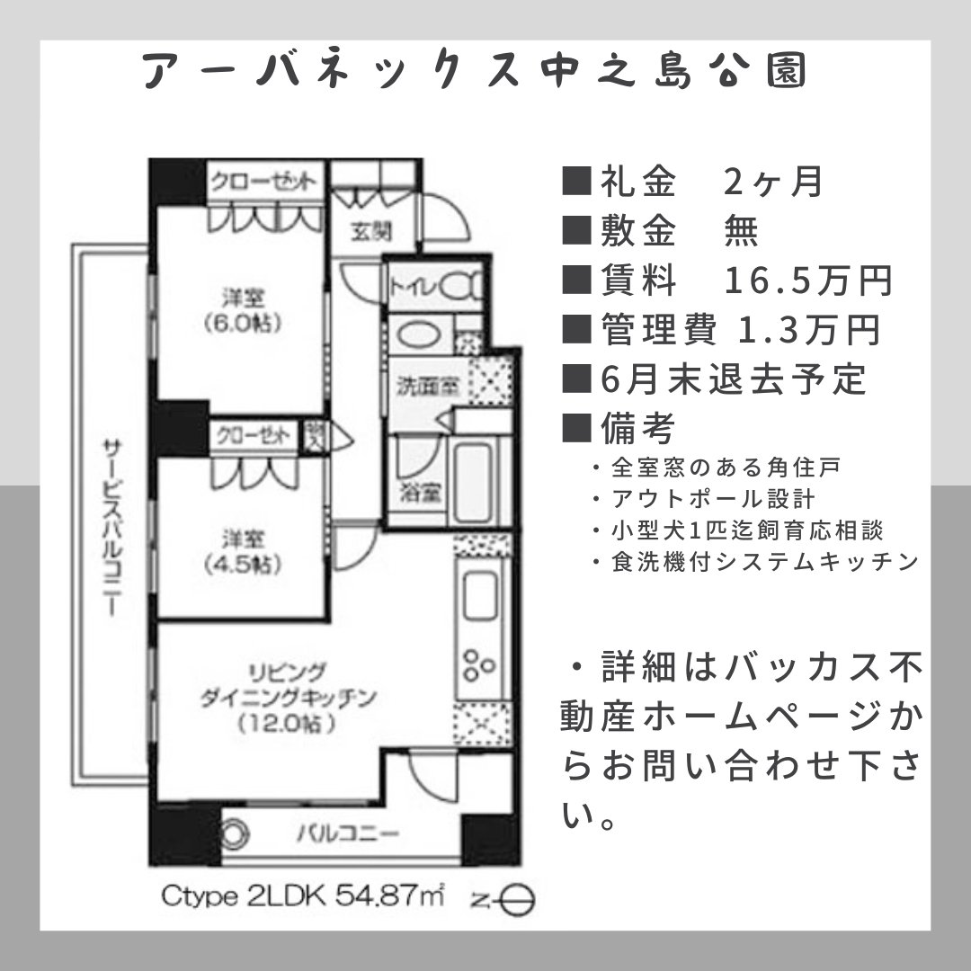 zono_bacchus's tweet photo. 2024-06-04【北浜・南森町 アーバネックス中之島公園】
16.5万円（別途管理費1.3万円）。中之島公園近くに建つ人気物件で募集が出ました。2面採光の角部屋でリビングはコーナーサッシを採用。小型犬飼育可。#アーバネックス中之島公園 #バッカス不動産 #北浜

https://t.co/b86XUnst6o https://t.co/zHL5gUmE5e