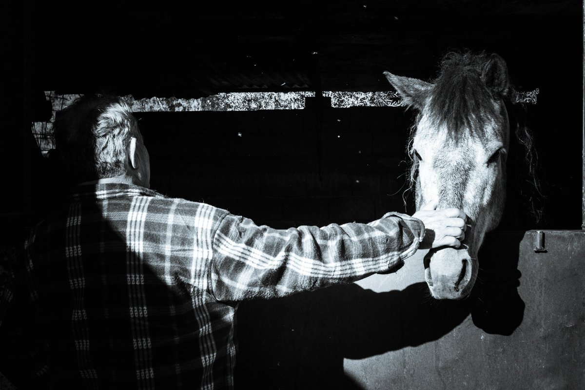 CasablancaFoto (@casablancafoto) on Twitter photo 