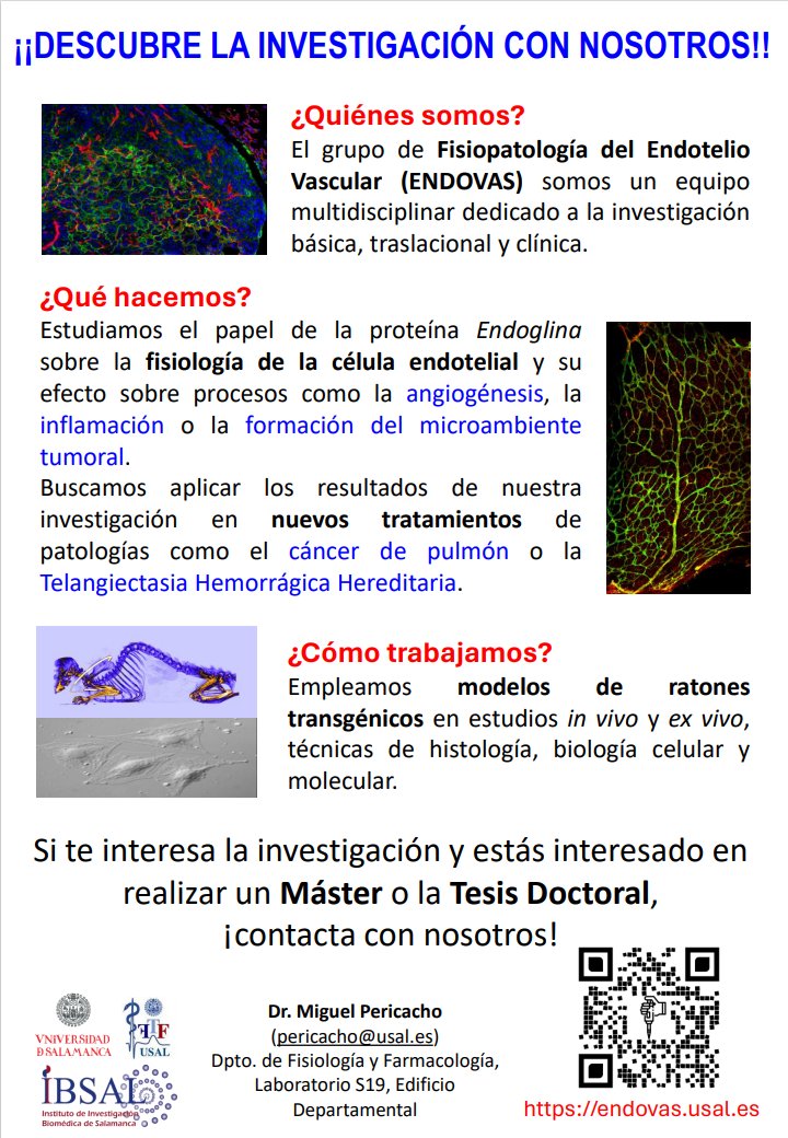mpericacho's tweet photo. Nuestro grupo de investigación (https://t.co/mvB59jxa92) busca personas interesadas en hacer un Máster o la Tesis Doctoral con nosotros. Trabajamos en diferentes líneas de investigación así que si alguna te interesa, no dudes en escribirnos.

PD: Se agradece difusión 😊 https://t.co/Z5nQN03KmF