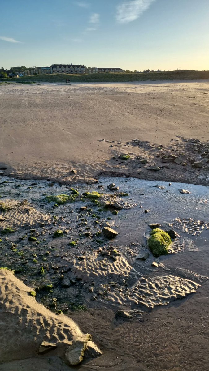 Imogen Johnston-Menzies tweet media