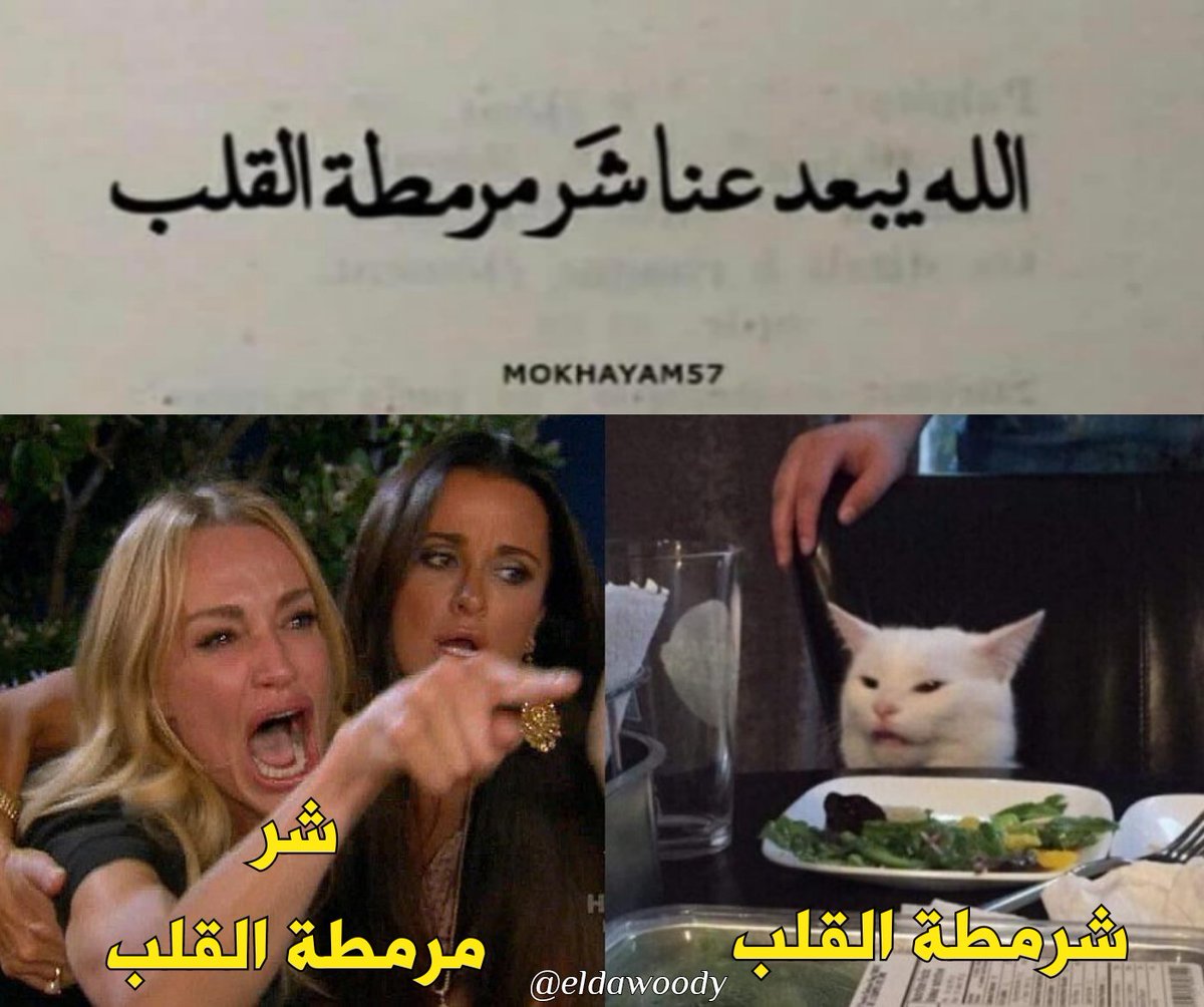 KariMostafa's tweet photo. https://t.co/hOKYhSmxPX