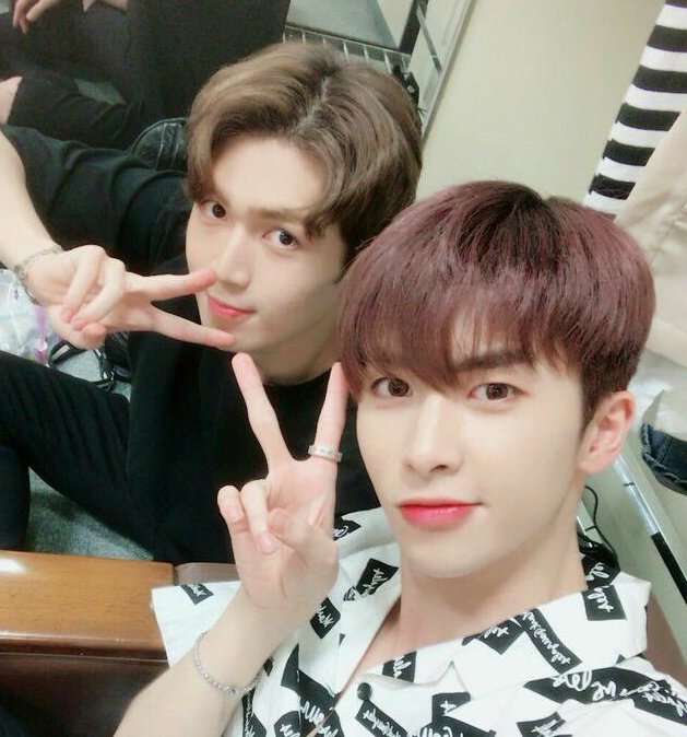19bitto96's tweet photo. جوجه های زیبا
#HANDAMWOO #DAMWOO
#LEEDONGYEOL #DONGYEOL
#UP10TION #업텐션 https://t.co/CccWFSTM5c