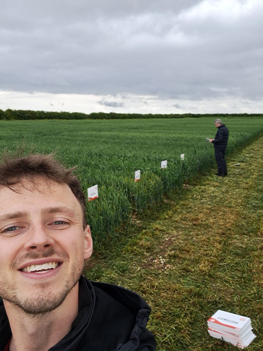 Kurtis Scarboro tweet media