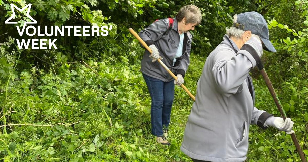 There are many opportunities to volunteer, whether you're protecting wildlife habitats or taking part in a clean-up day.

By volunteering, you can learn new skills and meet new people. 

To find out more about volunteering, visit worsbrough-mill.com/volunteering. 

#volunteersweek