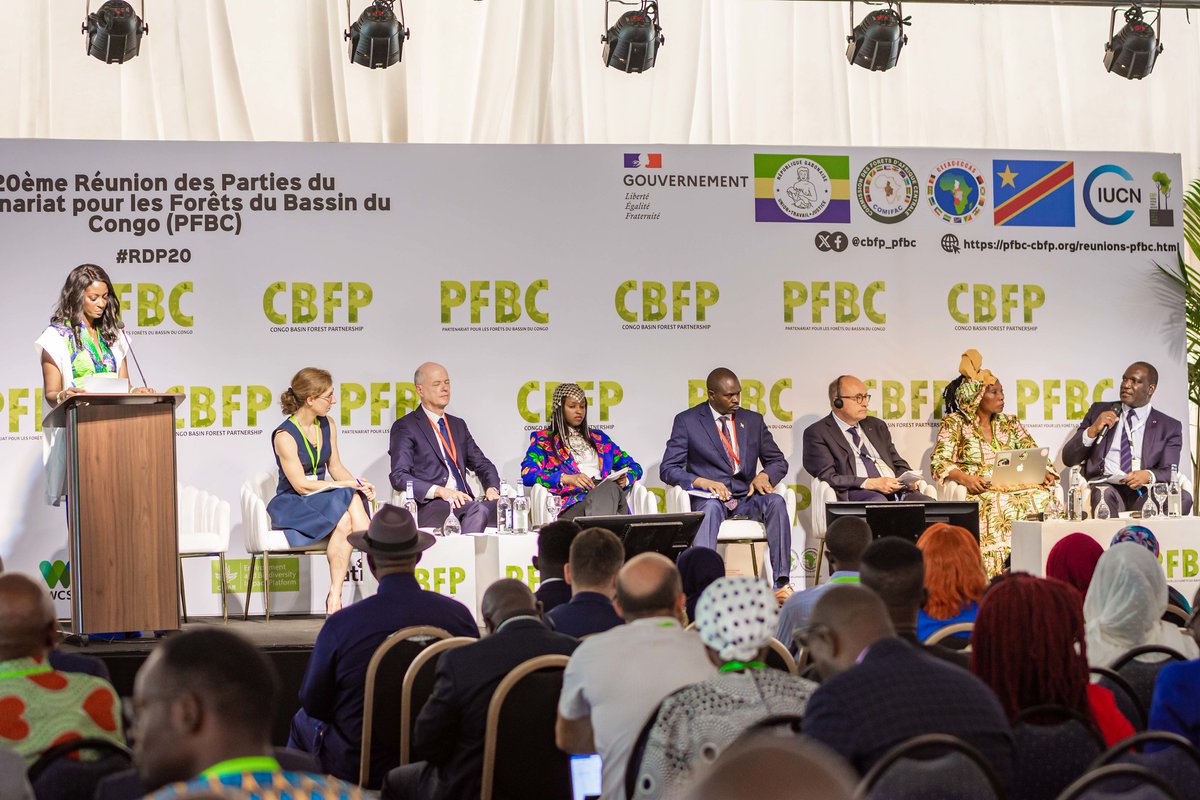 Franceaugabon's tweet photo. 🇫🇷🇬🇦La Réunion des Parties du PFBC a débuté hier à Kinshasa. Cette semaine, les participants échangent sur les enjeux de conservation du Bassin du Congo, environnement clé dans la lutte contre le changement climatique et la protection de la biodiversité. #FranceauGabon @cbfp_pfbc https://t.co/ReIavgbYIa