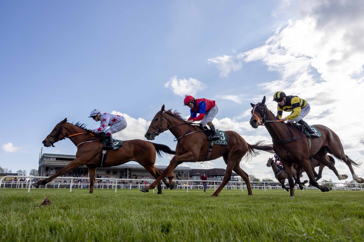 Navan Racecourse (@navanracecourse) on Twitter photo Entries are Out for ๐ ๐ฆ๐ฎ๐๐๐ฟ๐ฑ๐ฎ๐ ๐ด ๐๐๐ป๐ฒ featuring ๐ฅ
โญ @LynnStud <a href="/IrishEBF_/">Irish Stallion Farms</a> 2yo Maiden
โญ <a href="/GAINEquine/">GAIN Equine Nutrition</a> Advantage Series Hcp
โญ @DarleyEurop Kooyonga Stakes (Listed)
โญ <a href="/triequestrian_1/">TRI Equestrian</a> Handicap
โจFull list of Entries โก๏ธ bit.ly/3yJYJHB Entries are Out for ๐ ๐ฆ๐ฎ๐๐๐ฟ๐ฑ๐ฎ๐ ๐ด ๐๐๐ป๐ฒ featuring ๐ฅ
โญ @LynnStud <a href="/IrishEBF_/">Irish Stallion Farms</a> 2yo Maiden
โญ <a href="/GAINEquine/">GAIN Equine Nutrition</a> Advantage Series Hcp
โญ @DarleyEurop Kooyonga Stakes (Listed)
โญ <a href="/triequestrian_1/">TRI Equestrian</a> Handicap
โจFull list of Entries โก๏ธ bit.ly/3yJYJHB
