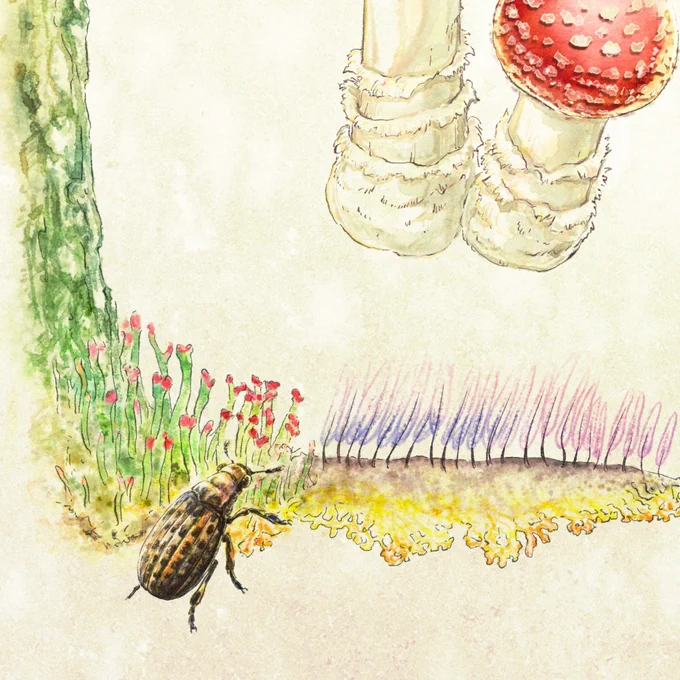 キノコヒゲナガゾウムシヒトリガ #虫の日 #虫好き