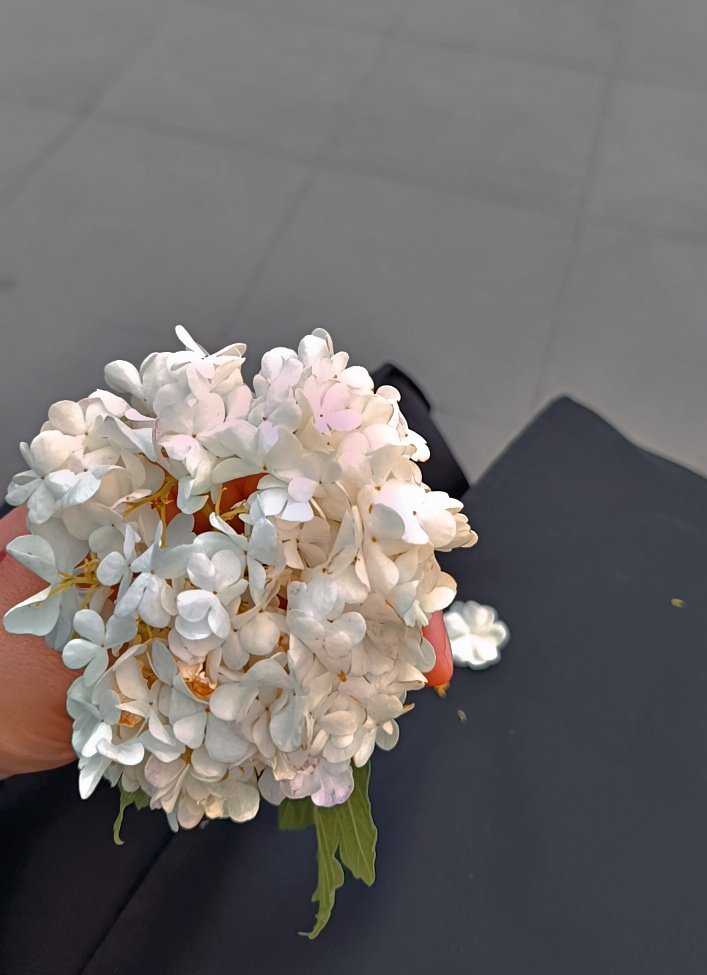 Hayat artık böyle hissettirsin.🦋🤍