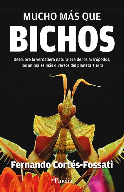 fercfossati's tweet photo. ⁉️SE PUEDEN METER +1 MILLÓN DE BICHOS EN 336 págs? 🦀🦋🦐🪲🕷️La Biología y ecología de TODOS los Artrópodos sean #insectos pulgas marinas o #tarantulas en un SOLO LIBRO muy MACARRA😱con prólogo del gran entomólogo EDUARDO GALANTE.Y HAY MÁS👇

YA PREVENTA👉 https://t.co/ykNkiZbyYP https://t.co/A6TwHSeffi