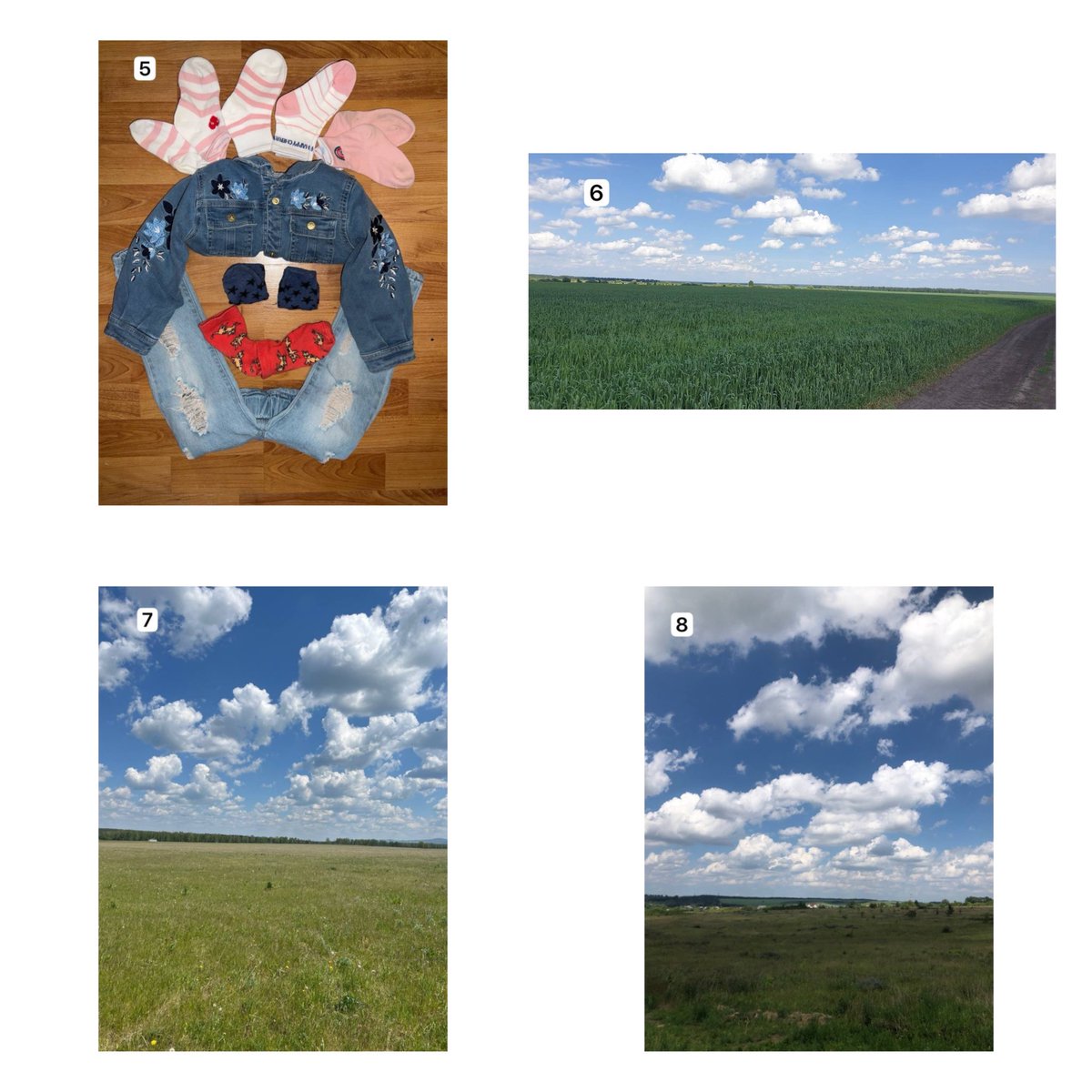 Pictographs tweet media