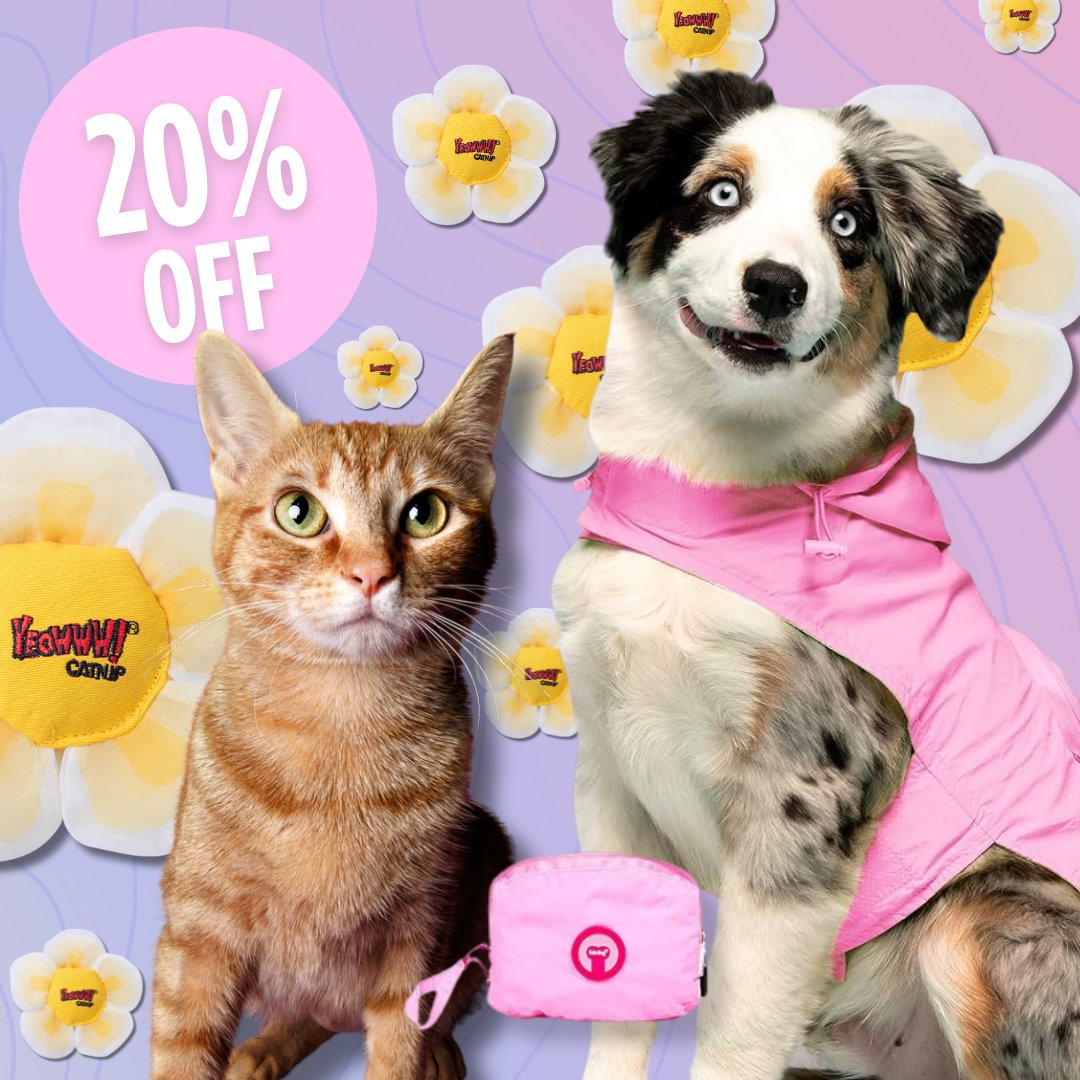 Forsyth Humane Society tweet media