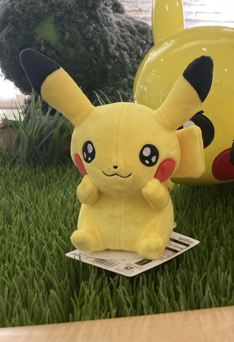 Izumipokemon's tweet photo. @PikaPikazyu0025 ピカチュウいっぱいで可愛いです！！💞💞💞
さくらくん！素敵なお名前ですね☺️
私のマイピカは名前の通りイズミくんっていいます！こちらこそぜひ仲良くしてください😘😘 https://t.co/zw3O1nZpDM
