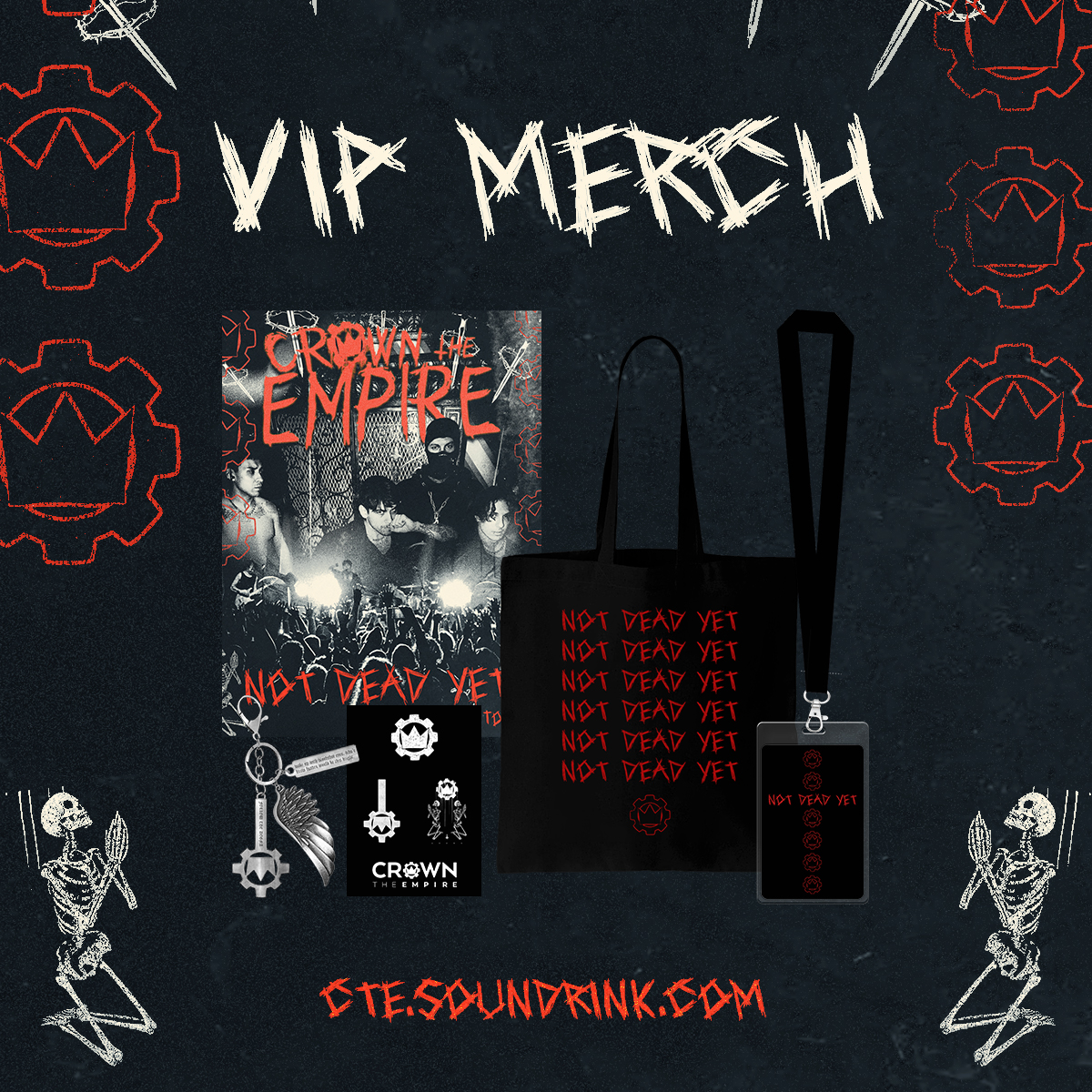 Sound Rink Inc. tweet media