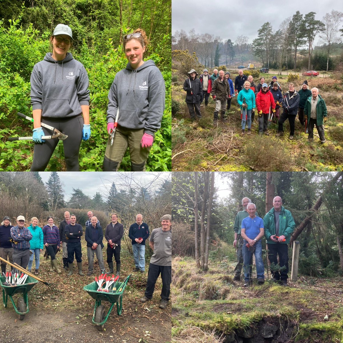 It's #VolunteersWeek and we wanted to say a BIG thankyou to all of the amazing volunteers who give their time and commitment to help care for #DorsetForests. 💚🙏