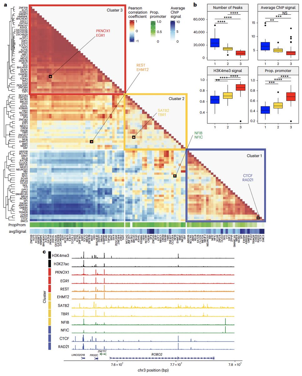 Jacob Loupe tweet media