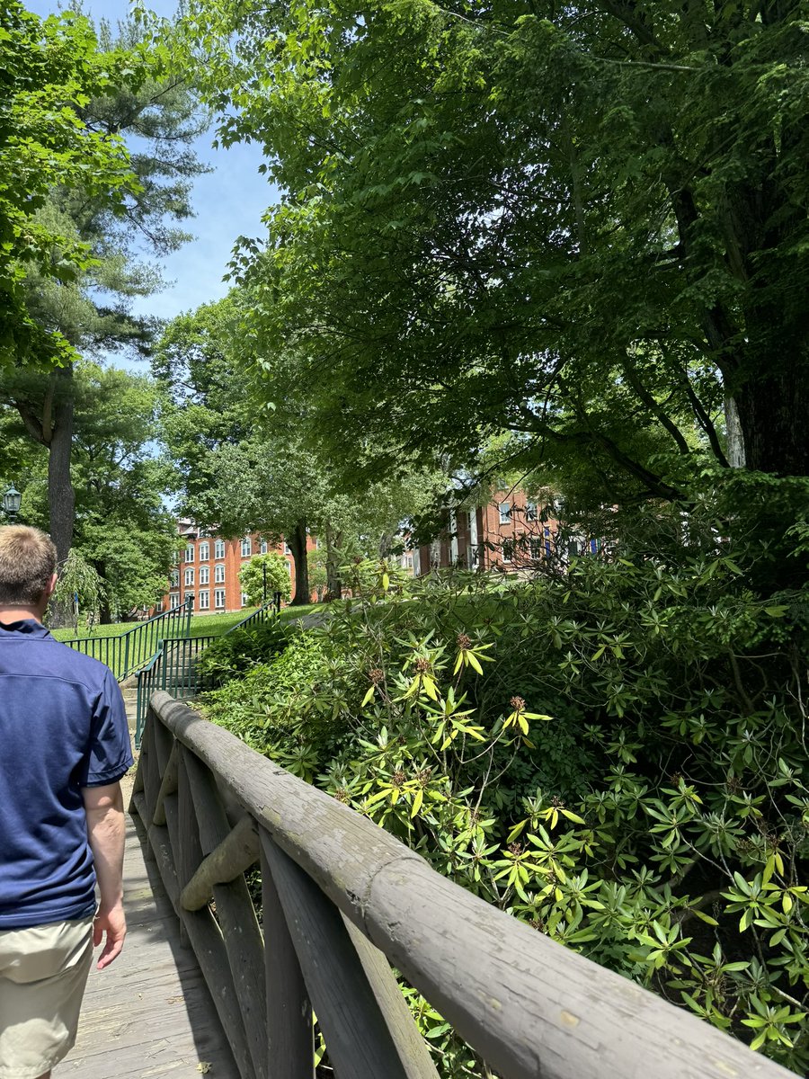 John Sciulli tweet media