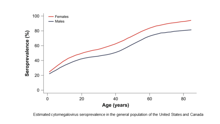 A recent study highlights the widespread impact of #cytomegalovirus (#CMV), demonstrating that modeled seroprevalence estimates increased with age and were higher in females than males. By young adulthood, about half of US and a quarter of Canadian women have been exposed to CMV,