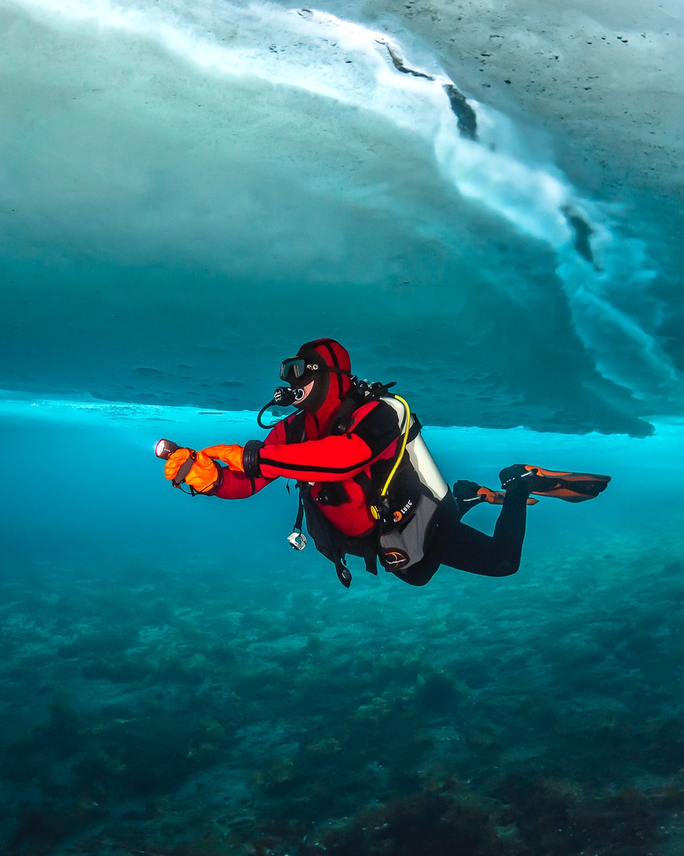 scubadivingyard's tweet photo. 😍🔥👏
.
.
.
.
#aqualungdivers #beyondtheexpected https://t.co/wjG2rUb7Va