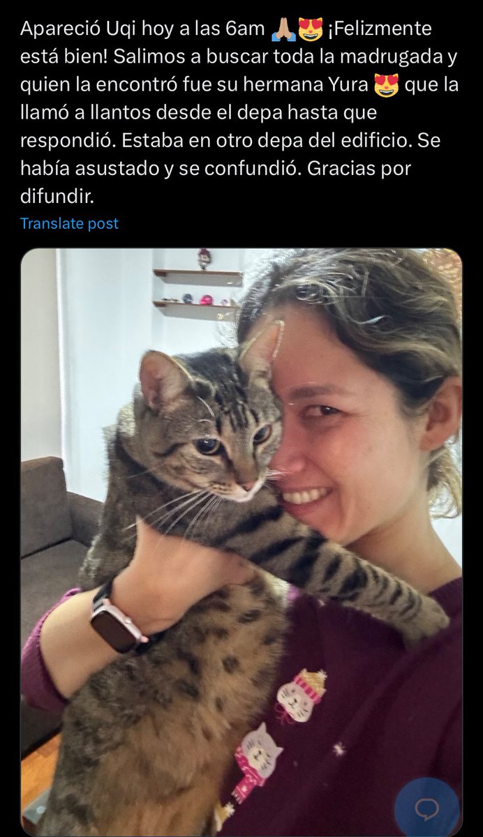 Ana Paola 山田 tweet media