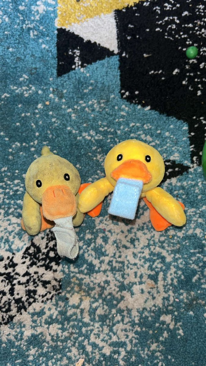 Please share!

On June 1st, Colby accidentally left his 2 soft ducks attached by the Velcro on the M1 First Bus.

We boarded the M1 at 11:54am at Broadmead Bristol and got off at Cribbs Causeway Bus Station. It was then heading back to Hendgrove! I’m hoping we get them back🤞🏻