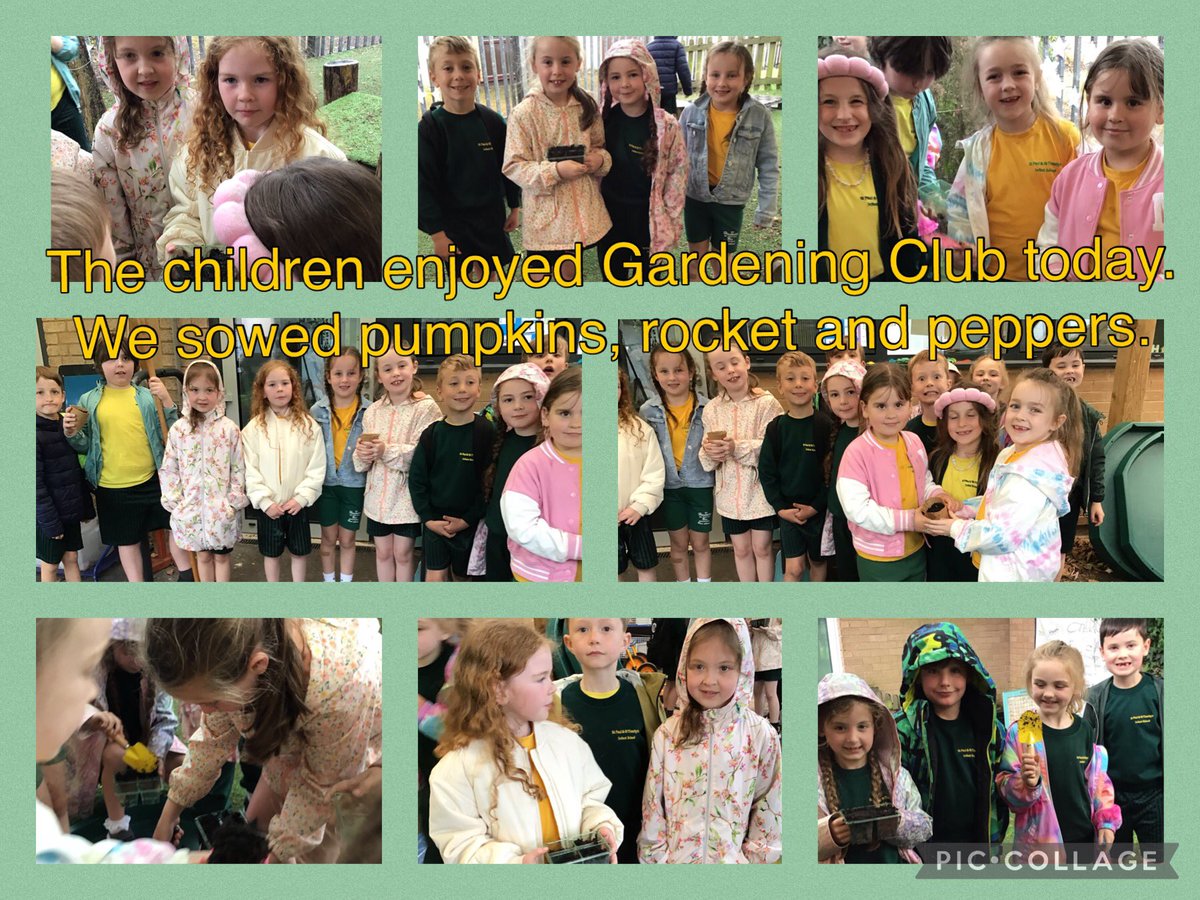 Gardening Club got off to a rainy start today, we sowed pumpkins, rocket and peppers.