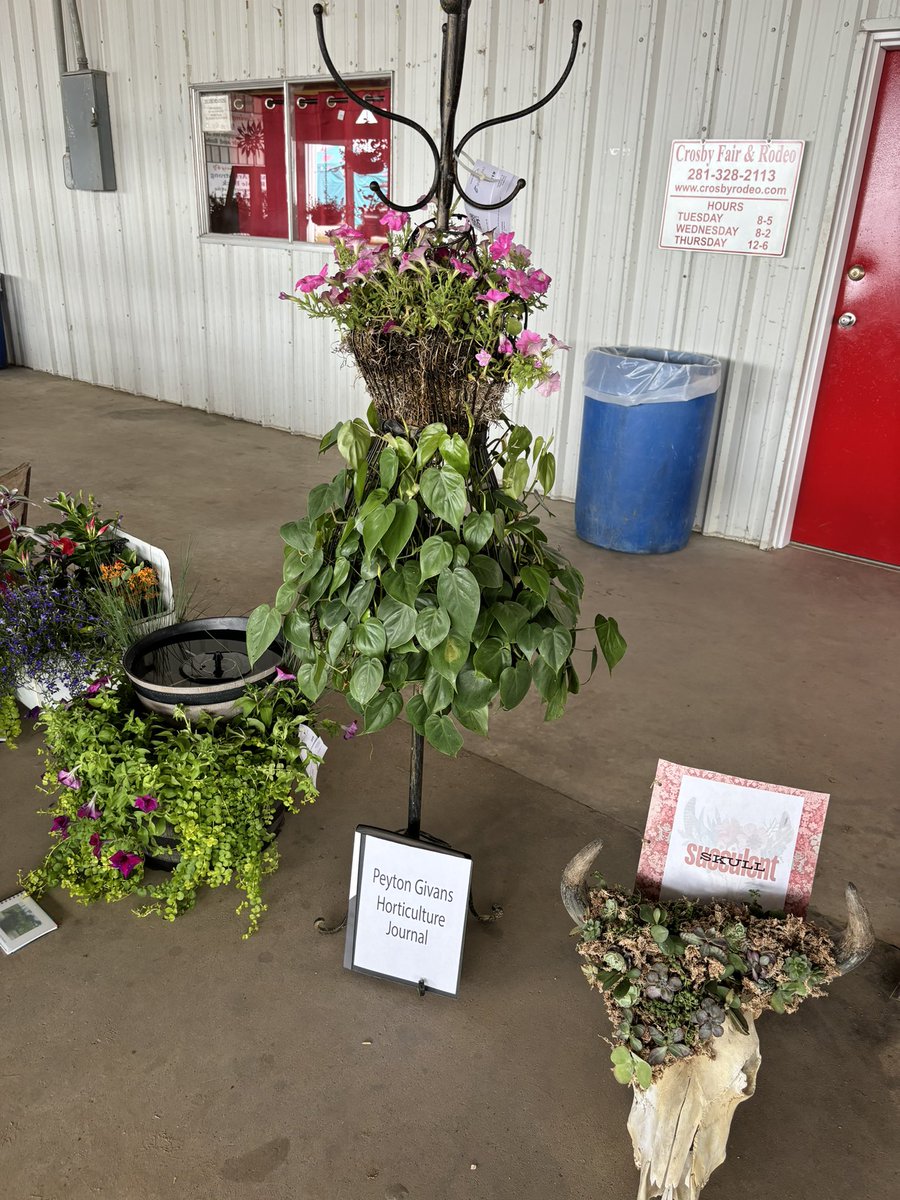 Crosby ISD tweet media