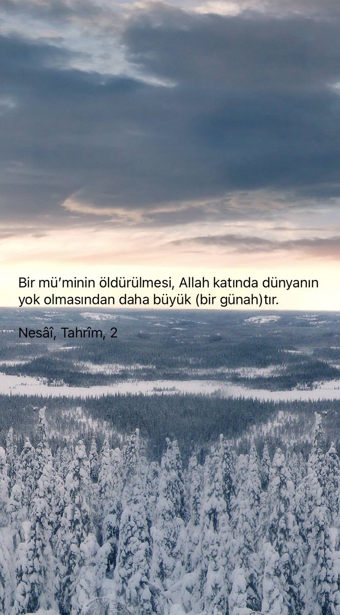 Della Miles (@dellamiles13) on Twitter photo 