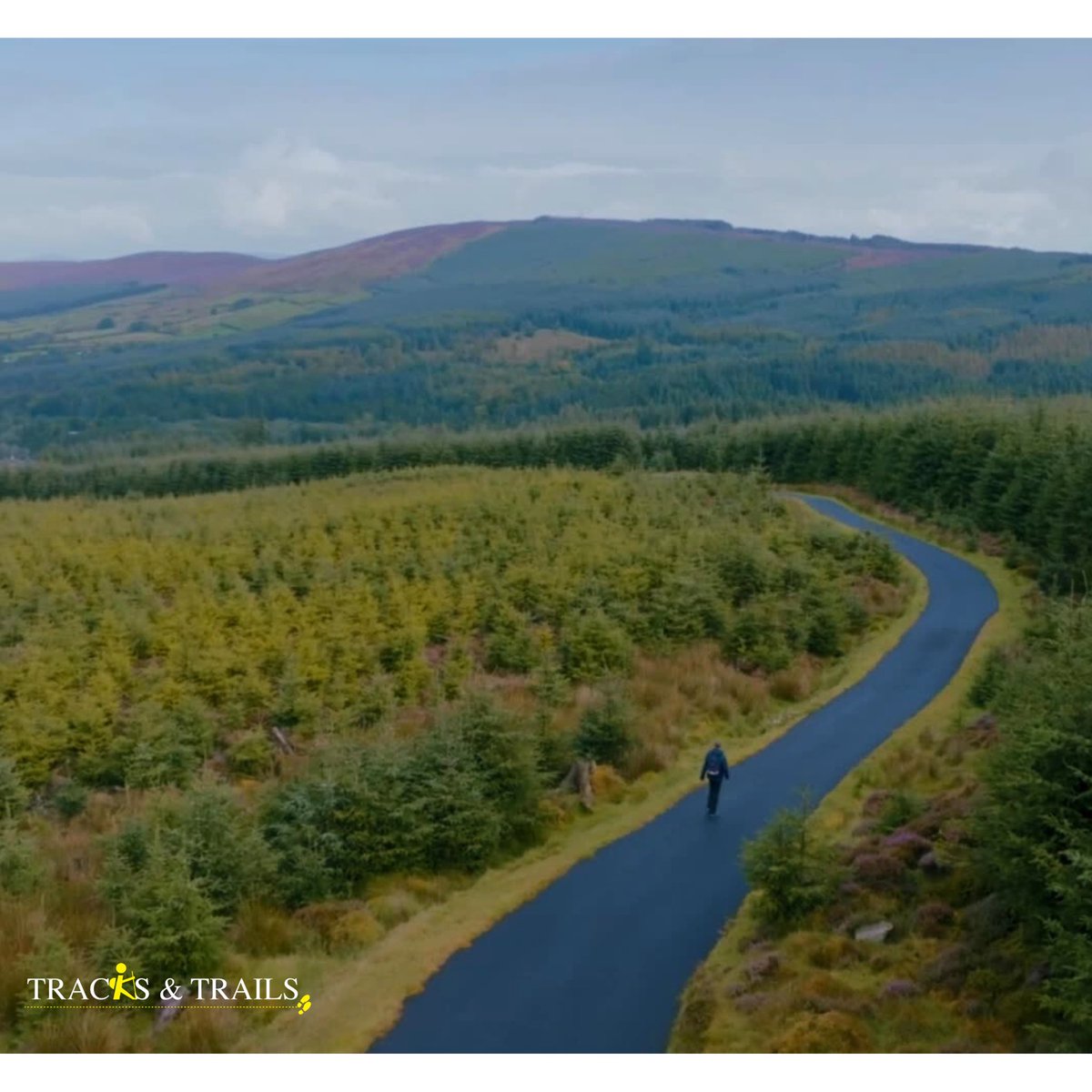Ireland's Tracks and Trails (@tracksntrailstv) on Twitter photo "Tyrone is the only place in Ireland where a dog can be wild tame. There is something special about Tyrone, there's something in the air"~Declan Forde,a local musician & writer reflects with Diarmaid Ferriter. Watch episode here👉 youtu.be/5r4XZCHLwdc?si… #tyrone #northernireland "Tyrone is the only place in Ireland where a dog can be wild tame. There is something special about Tyrone, there's something in the air"~Declan Forde,a local musician & writer reflects with Diarmaid Ferriter. Watch episode here👉 youtu.be/5r4XZCHLwdc?si… #tyrone #northernireland