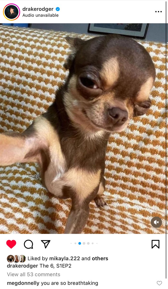 emmie 🌸 tweet media