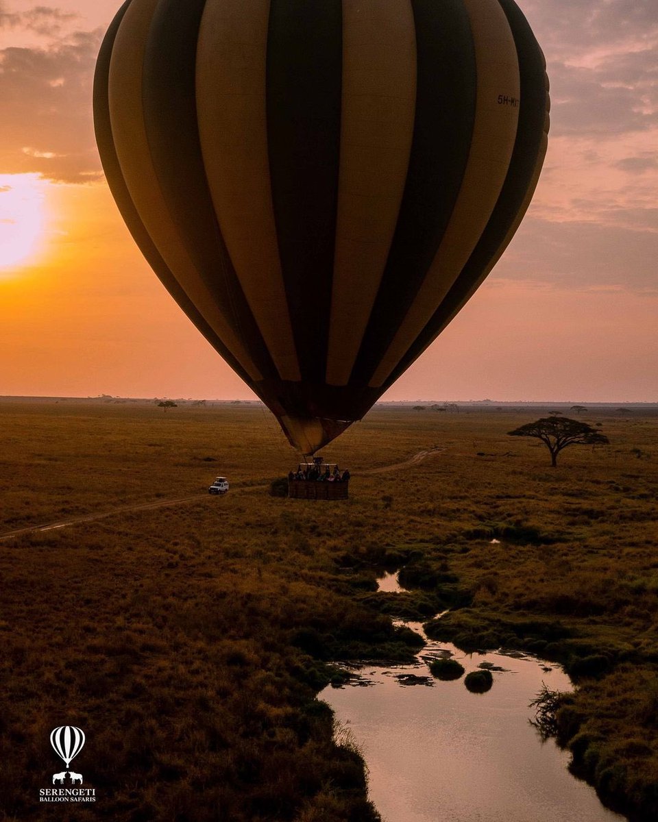 eduventure_tz's tweet photo. Experience the #Serengeti wilderness from above! 

For Consultation and bookings for your next Tanzanian Adventure:
Email📧: info@eduventuretanzania.com
WhatsApp 📞:+255628335973

#eduventuretanzania #safari #culturaltours #mtkilimanjarohiking #instatravel #naturelovers #educationalvolunteerprograms #supportBHA