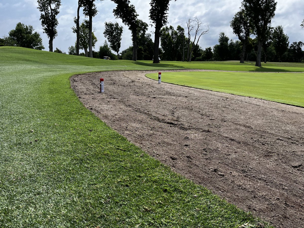 Daniel Mills tweet media