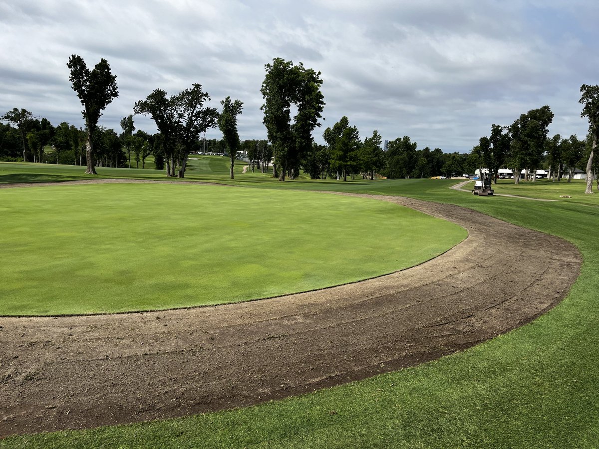 Daniel Mills tweet media