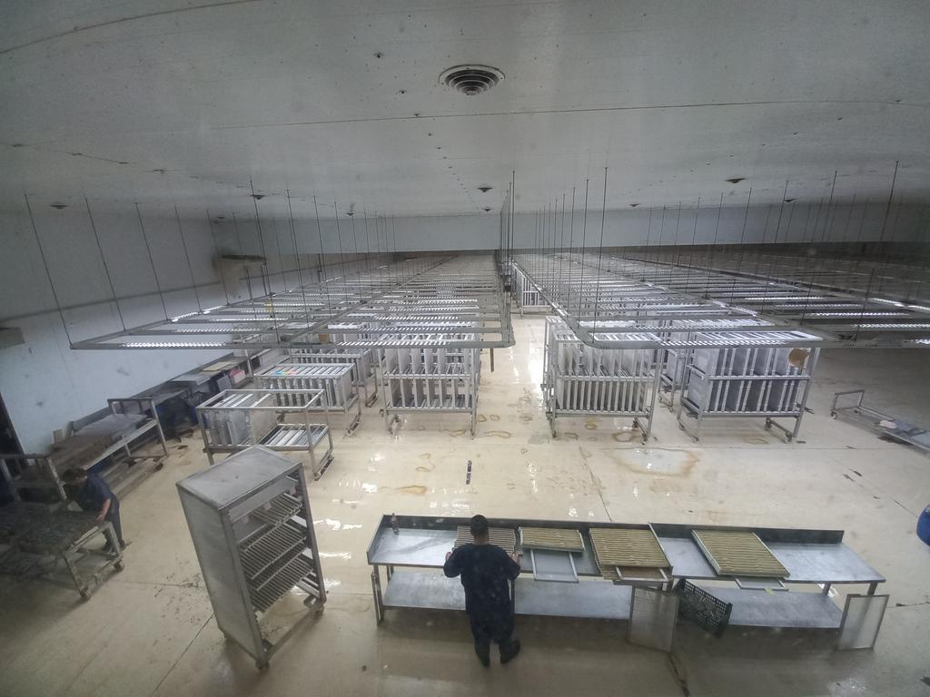 silvina_isgro's tweet photo. 🐛🦟 Así es la Bioplanta de #Iscamen ubicada en #SantaRosa. Es una fábrica de insectos de 16.000 metros cuadrados referencia a nivel mundial. @radiomitremza 🧵 https://t.co/ZYpjwr5RV7