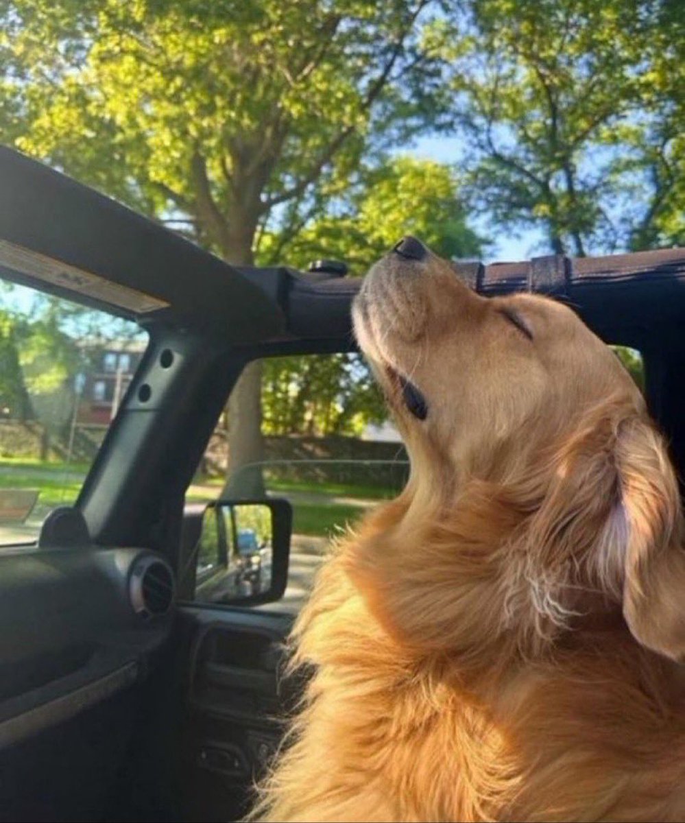 the torturted poets department aging like fine wine