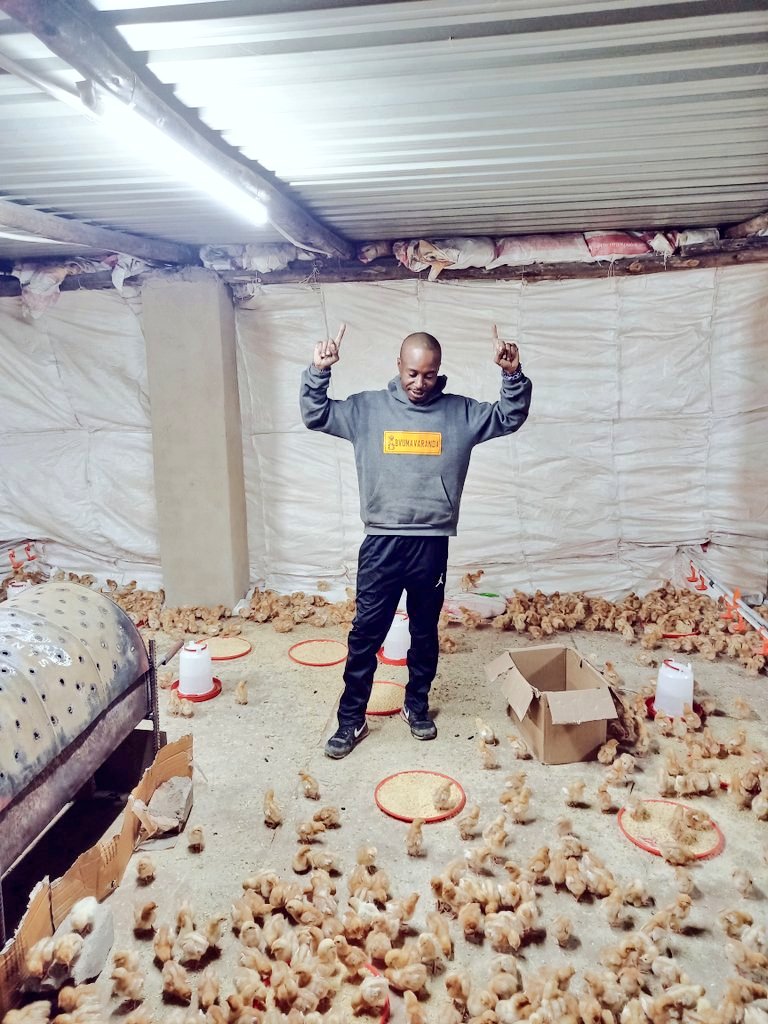 Pastor Farmer 🇿🇼 🌾🥔🥚🐂 tweet media
