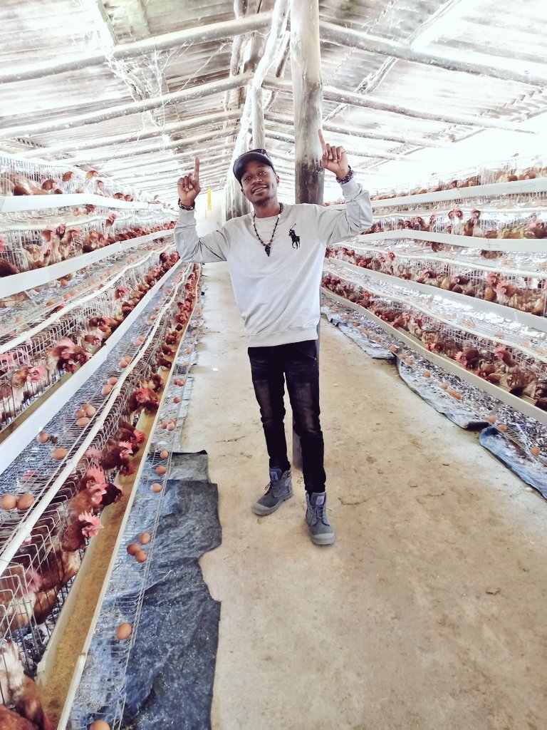 Pastor Farmer 🇿🇼 🌾🥔🥚🐂 tweet media