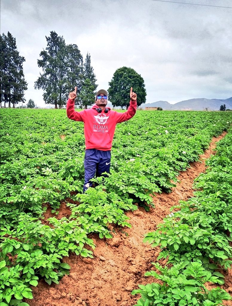 Pastor Farmer 🇿🇼 🌾🥔🥚🐂 tweet media