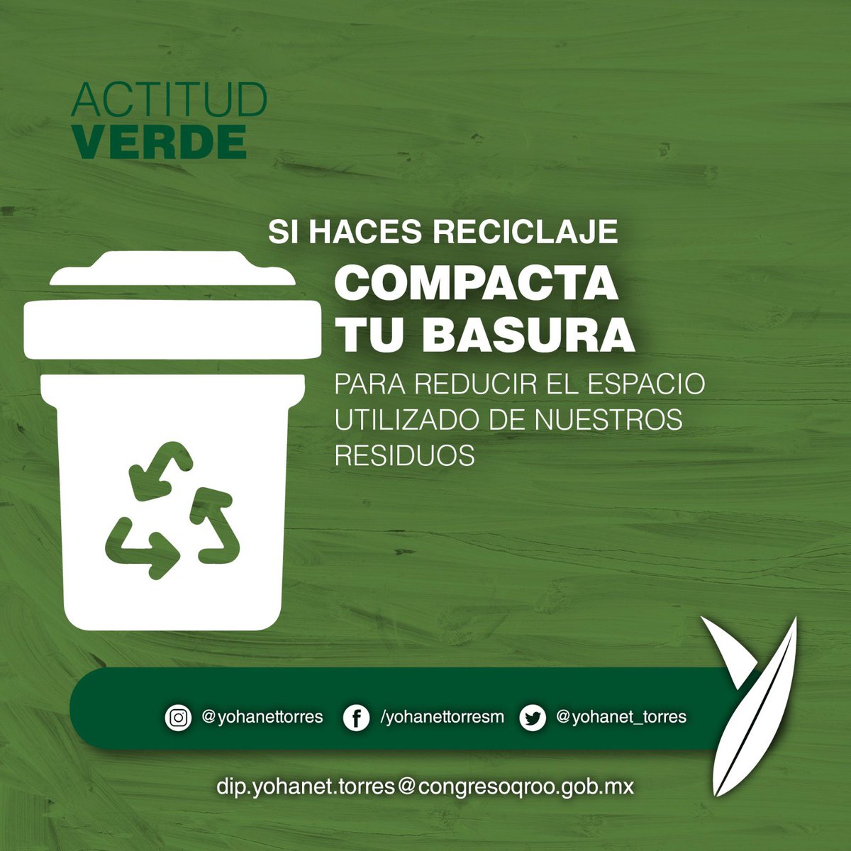 yohanet_torres's tweet image. #TipVerde
@quintanaroopvem