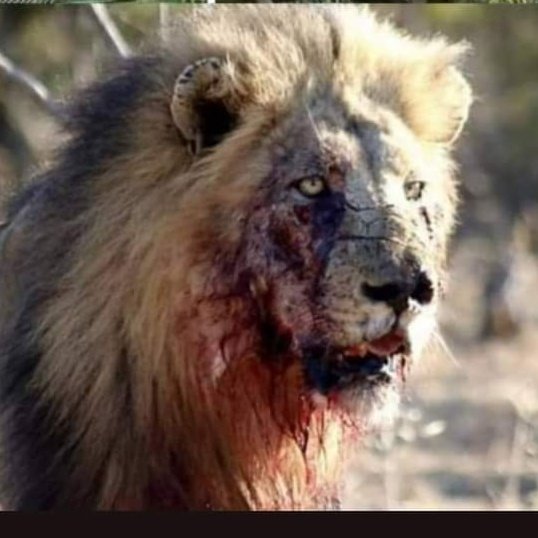 #صورة_ملف_شخصي_جديدة