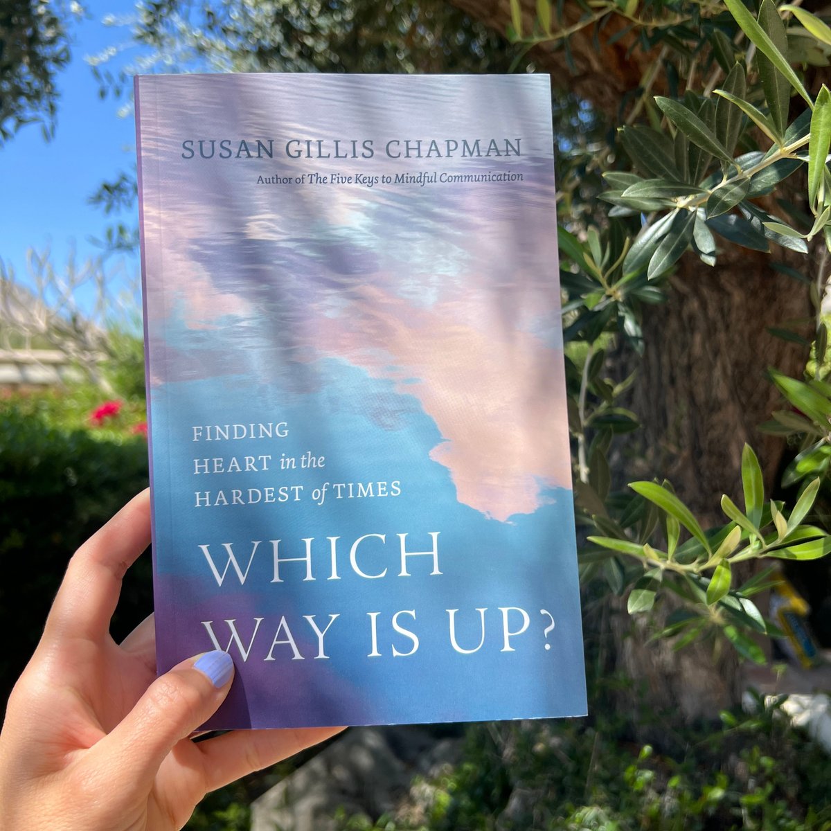 Happy Publication Day to Which Way Is Up? by Susan Gillis Chapman!

shambhala.com/which-way-is-u…
