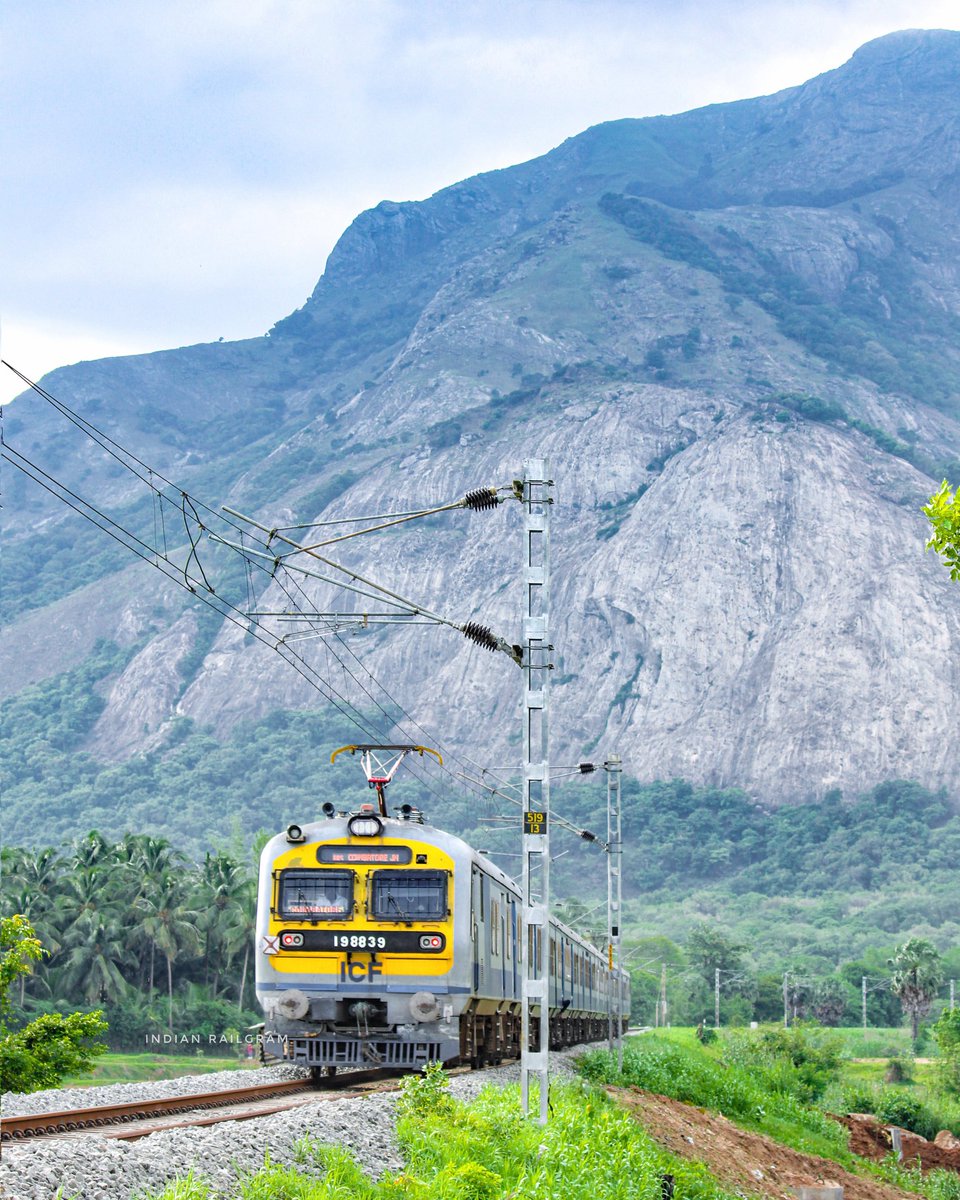Indianrailgram's tweet photo. Beauty of Western Ghats and Indian Railways 🔥💚
Shoranur - Coimbatore MEMU Express going towards Walayar.
#indianrailgram #indianrailways #photography #indianrailway  #trainphotography #trains #palakkad @AshwiniVaishnaw @GMSRailway @KeralaTourism @incredibleindia @NatGeoPhotos https://t.co/Z7mFgP3co0
