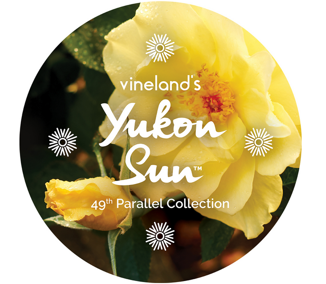 49throses tweet media