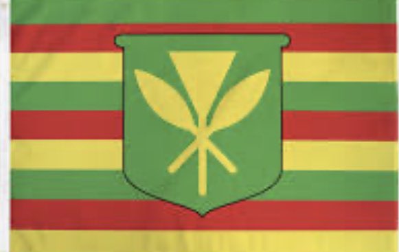 lawaikapohaku's tweet photo. Which one do you consider to be the real Hawaiian flag?
(Trying to see something) https://t.co/rqrpKVh8dL