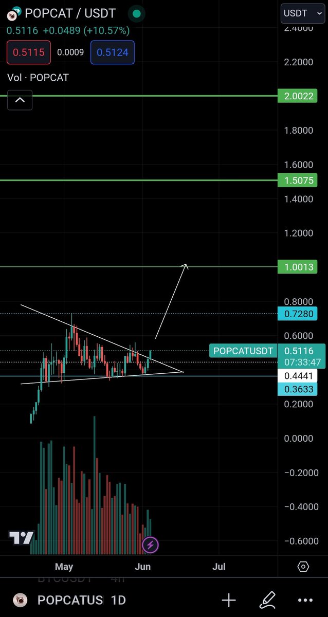 $POPCAT breakout 🚀 

DYOR ⚠️ ⚠️ ⚠️