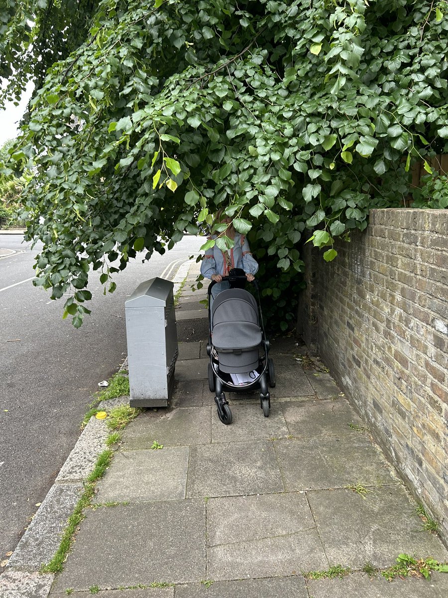rorymcentee's tweet photo. @lambeth_council so dangerous. Is there anything can do to remove this? https://t.co/UqMkKdNMYq
