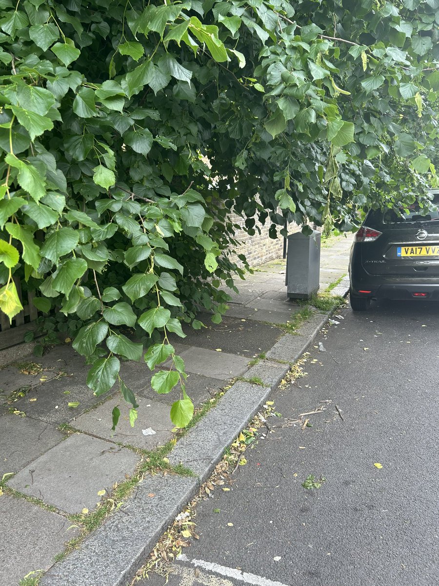 rorymcentee's tweet photo. @lambeth_council so dangerous. Is there anything can do to remove this? https://t.co/UqMkKdNMYq