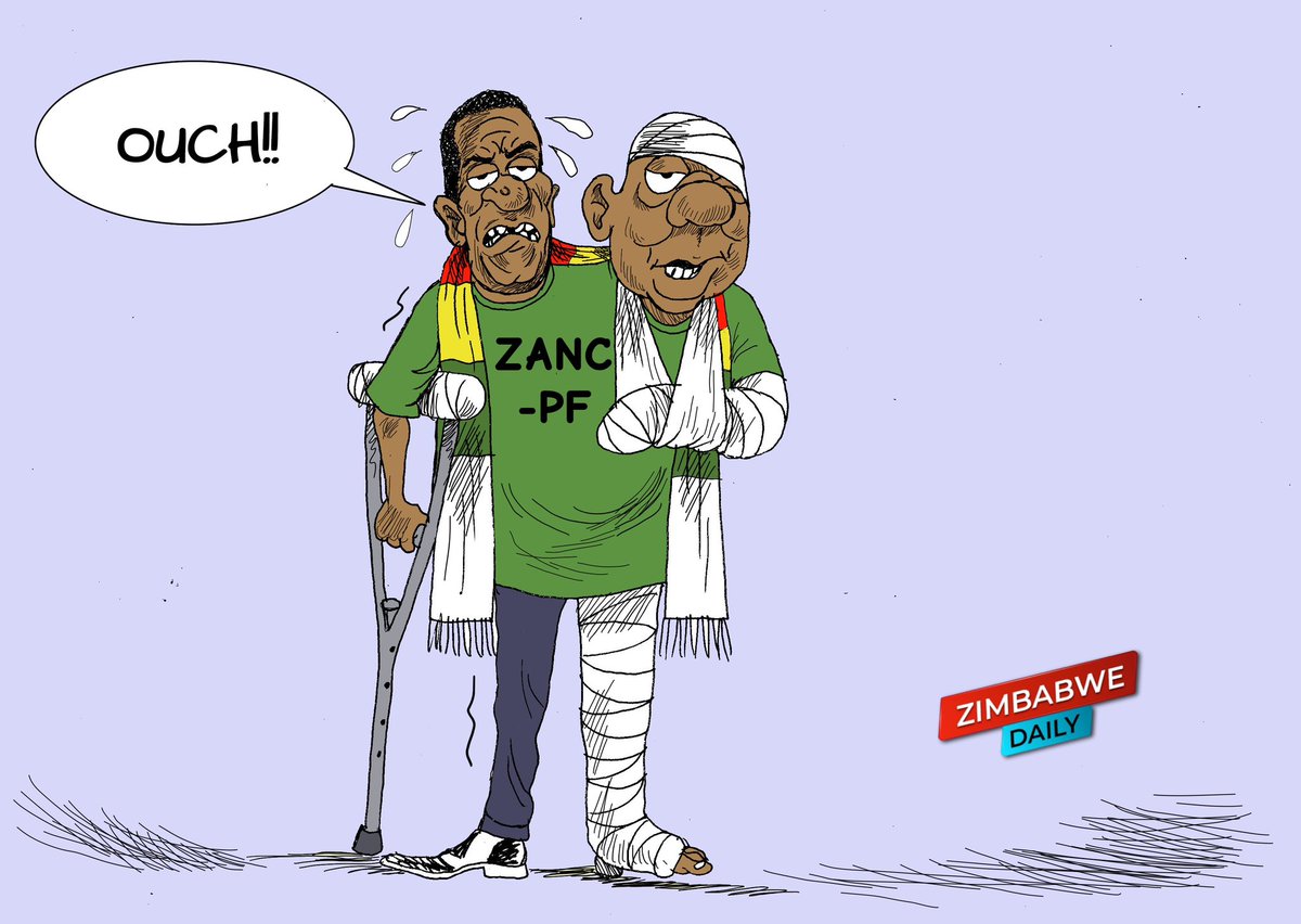 ZimDaily tweet picture